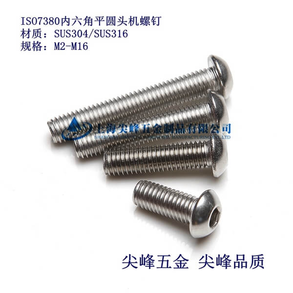 SUS316/ISO7380ƽA^(ni)316A^(ni)