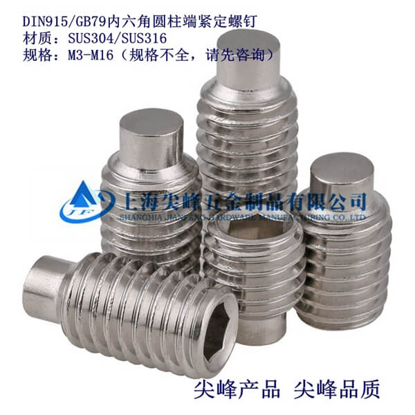 SUS316/DIN915(ni)ǈA^o316/GB79(ni)ǈA^o