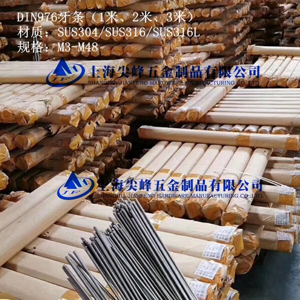 DIN976һlP1l